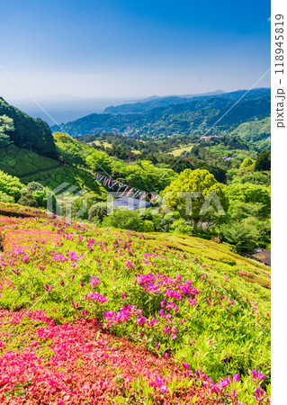 【静岡県】ツツジが満開の熱海姫の沢公園 118945819