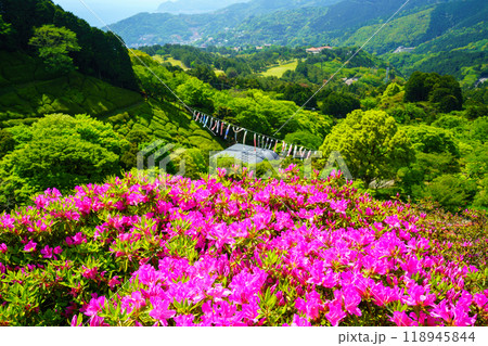 【静岡県】ツツジが満開の熱海姫の沢公園 118945844