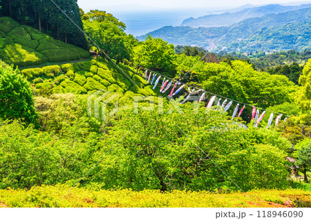 【静岡県】新緑が美しい熱海姫の沢公園 118946090