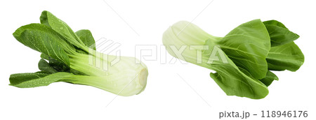 Fresh pak choi cabbage isolated on white background with full depth of field Fresh pak choi cabbage isolated on white background with full depth of field 118946176