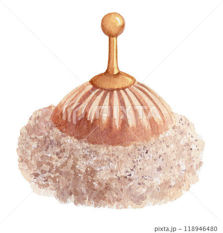Vintage beige powder puff. Watercolor hand drawn illustration isolated on white background. For design, posters, cards, postcards, stickers, flyers Vintage beige powder puff. Watercolor hand drawn illustration isolated on white background. For design, posters, cards, postcards, stickers, flyers 118946480