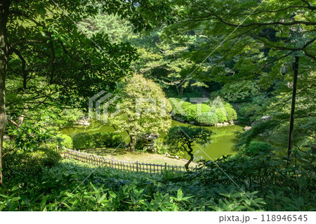 東京都港区白金台の東京都庭園美術館の庭園 118946545