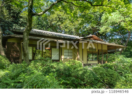 東京都港区白金台の東京都庭園美術館の庭園 東京都港区白金台の東京都庭園美術館の庭園 118946546