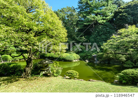 東京都港区白金台の東京都庭園美術館の庭園 118946547