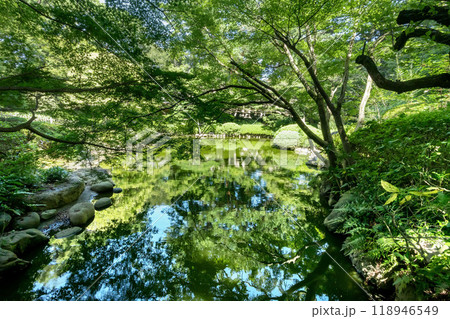 東京都港区白金台の東京都庭園美術館の庭園 118946549