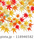 カラフル紅葉 118946582
