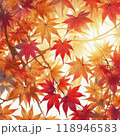 紅葉 118946583