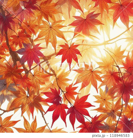 紅葉 118946583