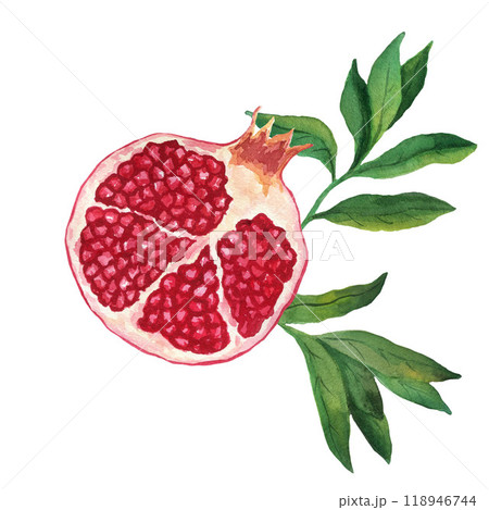 Composition of a piece of pomegranate and leaves. Watercolor illustration isolated on white background. For menu, card, sticker, wallpaper, wrapping 118946744