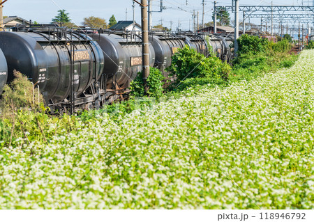 三岐鉄道三岐線丹生川駅、満開のそばの花〈三重県いなべ市〉 118946792