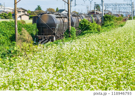 三岐鉄道三岐線丹生川駅、満開のそばの花〈三重県いなべ市〉 118946793