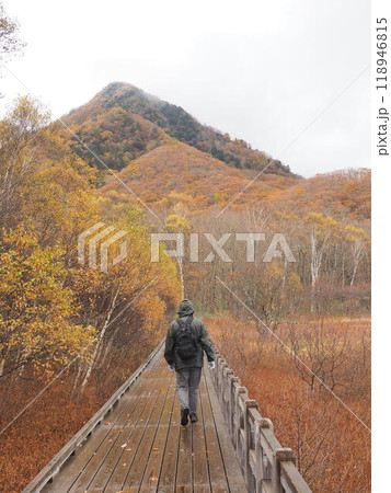 紅葉の木道を歩く男性 118946815