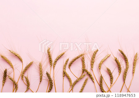 Sheaf of wheat ears close up and seeds on colored background. Natural cereal plant, harvest time concept. Top view, flat lay with copy space. world wheat crisis Sheaf of wheat ears close up and seeds on colored background. Natural cereal plant, harvest time concept. Top view, flat lay with copy space. world wheat crisis 118947653