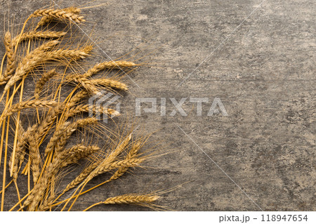 Sheaf of wheat ears close up and seeds on colored background. Natural cereal plant, harvest time concept. Top view, flat lay with copy space. world wheat crisis 118947654