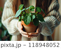 A person holding beautiful potted plant with green leaves in bright indoor space. Generative AI 118948052