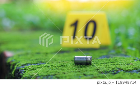 Empty bullet casing on a mossy surface, with a blurred black number 10 in the background, evoking the concept of crime scene investigation and unraveling mysteries. Empty bullet casing on a mossy surface, with a blurred black number 10 in the background, evoking the concept of crime scene investigation and unraveling mysteries. 118948714
