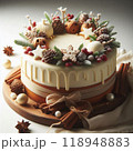 オシャレなクリスマスケーキ 118948883