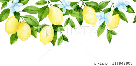 watercolor seamless border, lemon fruit tree branches. illustration in simple style 118948900