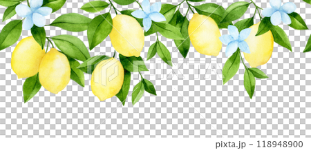 watercolor seamless border, lemon fruit tree branches. illustration in simple style 118948900