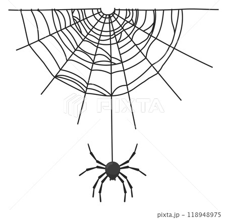Spider hanging from net. Halloween spooky web decoration 118948975