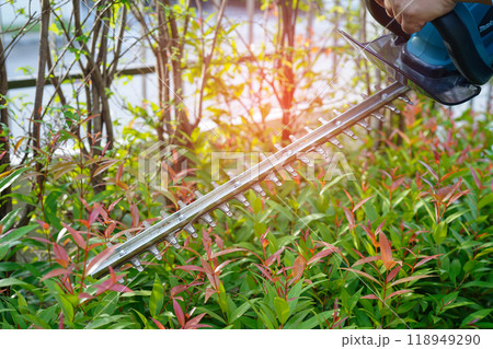 Gardener trimming bush by electric hedge clippers in garden. Hobby at home. 118949290