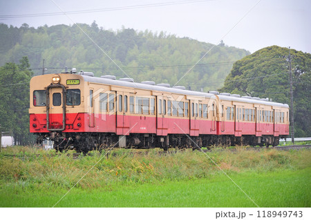 久留里線 東清川ー横田 JR東日本 キハ30-98+キハ30-62(幕張) 久留里線 東清川ー横田 JR東日本 キハ30-98+キハ30-62(幕張) 118949743