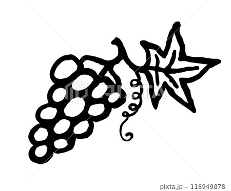 Grapes. Hand drawn fruit bold line ink doodle. Black vector illustration isolated on white background. 118949878