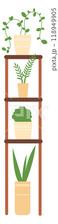 Home botany in flower pots on wooden shelf decoration 118949905