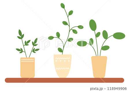 Houseplant shelf with home botany. Green wall decoration Houseplant shelf with home botany. Green wall decoration 118949906