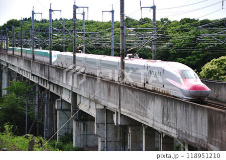 東北新幹線　那須塩原ー新白河　JR東日本　E6系　S12編成＋E5系　S11編成　こまち　はやぶさ 118951210