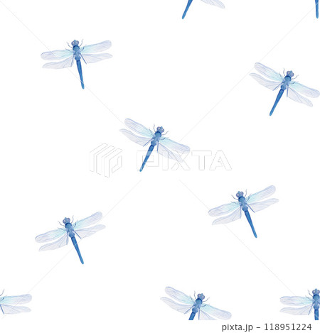 Seamless pattern with blue dragonflies. Watercolor illustration on white background. For wrapping paper, textile, wallpaper, packaging, fabric 118951224
