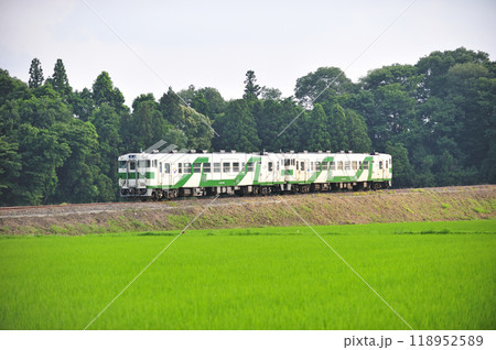 烏山線　宝積寺ー下野花岡　JR東日本　キハ40-1001+キハ40-1005（宇都宮） 118952589