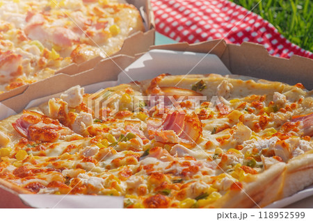 Two pizzas on a checkered red and white tablecloth on the grass. Picnic Two pizzas on a checkered red and white tablecloth on the grass. Picnic 118952599