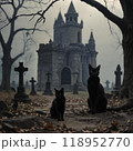 お墓と黒猫とお城 118952770