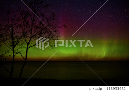 Aurora Borealis over Tranquil Lake with Silhouetted Tree Aurora Borealis over Tranquil Lake with Silhouetted Tree 118953482