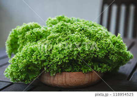 Lollo green lettuce in the wood bowl Lollo green lettuce in the wood bowl 118954525