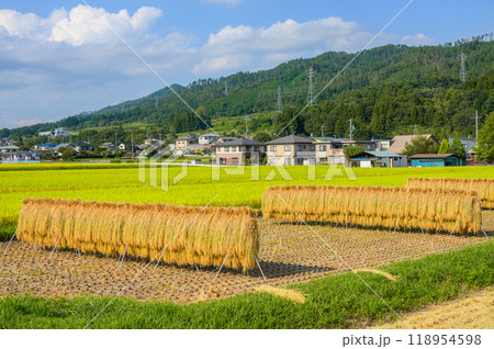 【はぜ掛け】秋の安曇野【北安曇郡池田町】 118954598