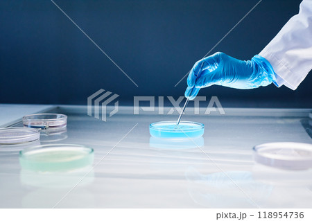 Close up on hand in medical glove dripping liquid from pipette into petri dish containing blue substance placed on light table in laboratory, copy space Close up on hand in medical glove dripping liquid from pipette into petri dish containing blue substance placed on light table in laboratory, copy space 118954736