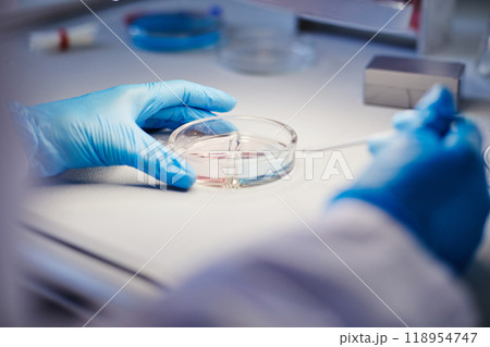 Close up on hands of unrecognizable biochemist working with liquid in petri dish studying bacteria while developing new pharmaceuticals in laboratory of manufacturing company, copy space 118954747