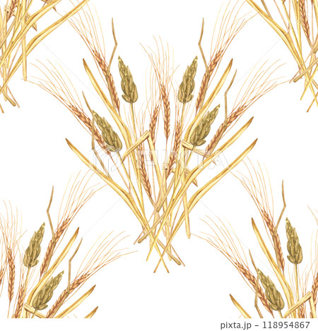 Watercolor Seamless Pattern with ears of wheat. Autumn wallpaper for harvest festival or thanksgiving. Fall botanical illustration for scrapbooking paper, stationery design 118954867