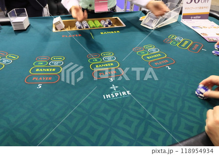 カジノのカードゲーム カジノのカードゲーム 118954934