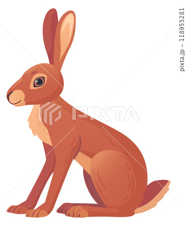 Jackrabbit sit. Wild cartoon hare. Animal character 118955281