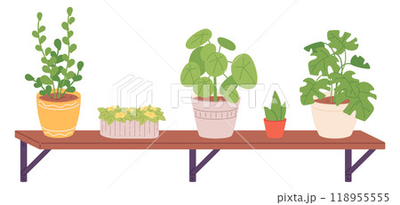 Urban jungle shelf. Houseplants growing. Green decoration 118955555