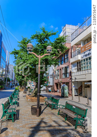 東京 目黒区 自由が丘の街並み(九品仏川緑道) 東京 目黒区 自由が丘の街並み(九品仏川緑道) 118955647