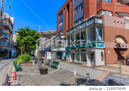 東京　目黒区　自由が丘の街並み（九品仏川緑道） 118955649