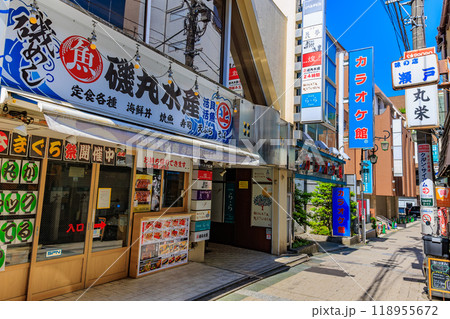 東京　目黒区　自由が丘の街並み（メープル通り） 118955672