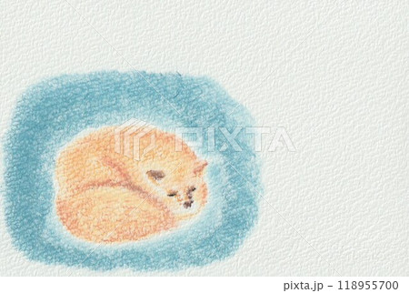 キツネのメッセージカード キツネのメッセージカード 118955700