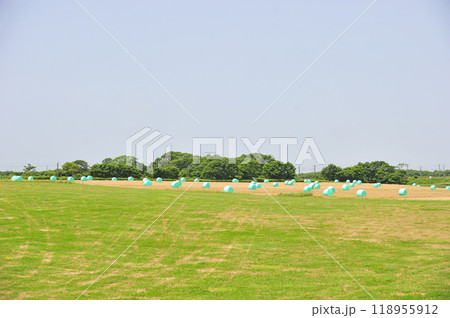 千歳線　植苗ー美々　JR北海道 118955912