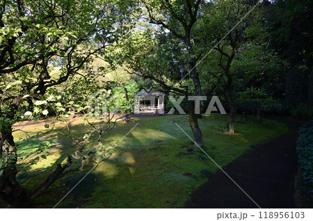 戸定ヶ丘歴史公園、梅園と東屋、夏の終わりに 118956103