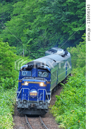 函館本線　倶知安ー小沢　JR北海道　DD51-1142（函館）+24系+14系（札幌）　ニセコ 118956143